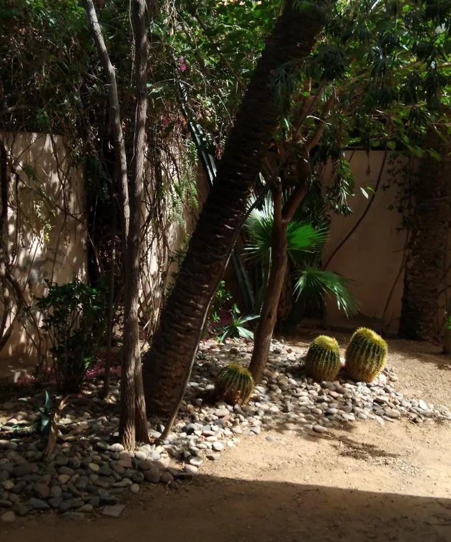 Spins Hostel Gueliz Marrakesh